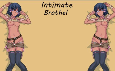 Intimate Brothel Adult Game Cover