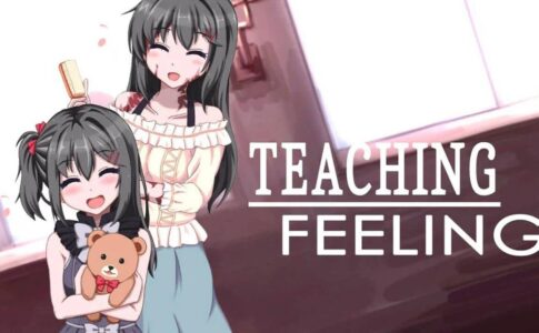 Life With a Slave Teaching Feeling Adult Game Cover