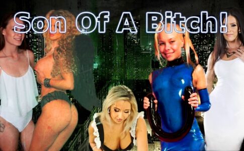 Son Of A Bitch Adult Game Cover