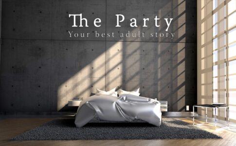 The Party Adult Game Cover