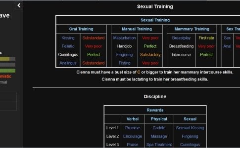 Fantasy Slave Trainer Adult Game Cover