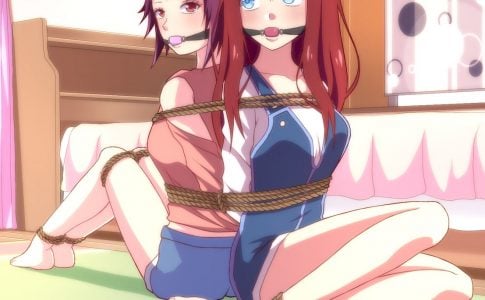 Bonds Adult Game Cover