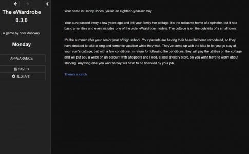 The eWardrobe Adult Game Cover