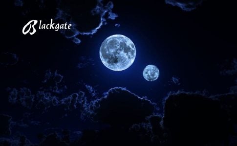 Blackgate Adult Game Cover