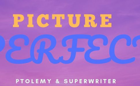 Picture Perfect Adult Game Cover