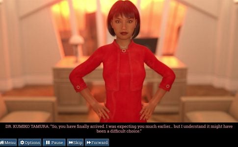 Office Bully Adult Game Cover