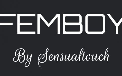 Femboy Adult Game Cover