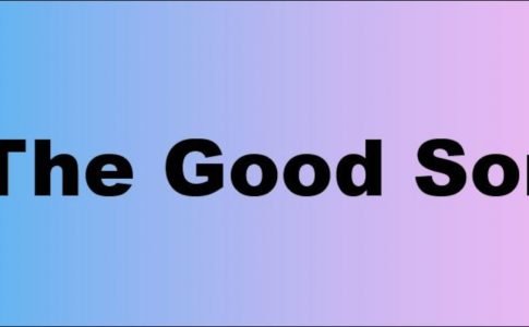 The Good Son Adult Game Cover