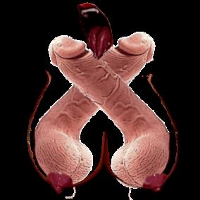 Sluts of Battle Adult Game Cover