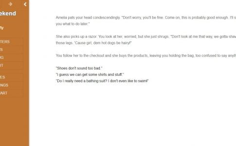 The Weekend Adult Game Cover