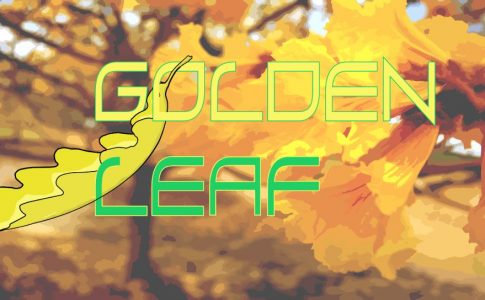 Golden Leaf Adult Game Covber