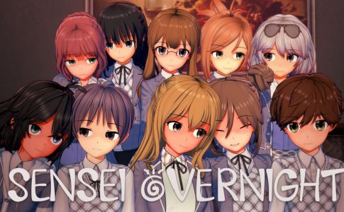 Sensei Overnight Adult Game Cover