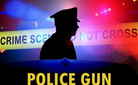 Police Gun Adult Game Cover