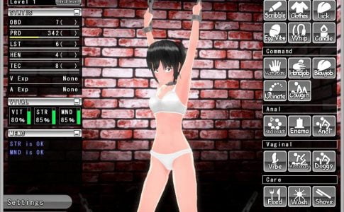 Sealed Room Breed 2 Adult Game Cover