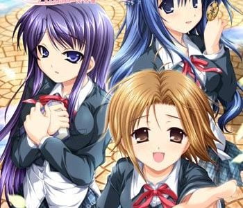 A Profile Adult Game Cover