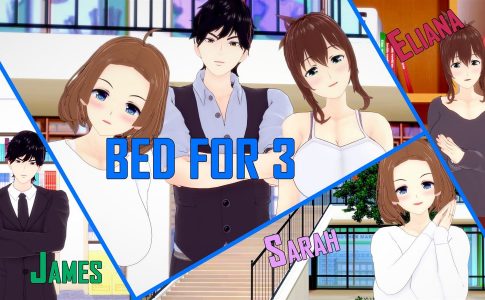 Bed for 3 Adult Game Cover