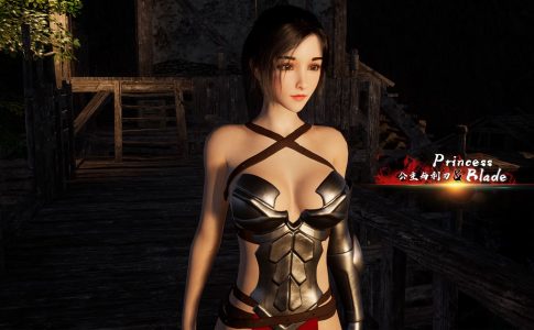 Princess And Blade Adult Game Cover