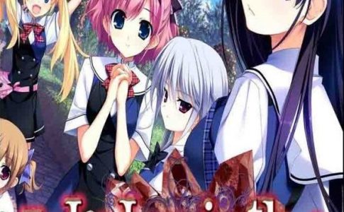 The Labyrinth of Grisaia Adult Game Cover
