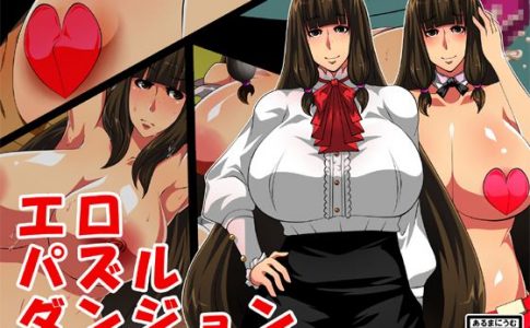 Ero Puzzle Dungeon Adult Game Cover