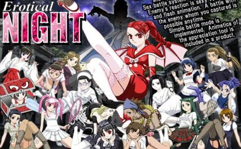 Erotical Night Adult Game Cover