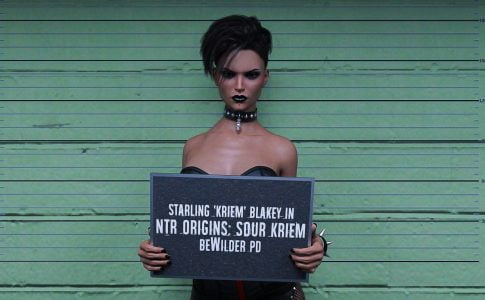 NTR Origins Sour Kriem Adult Game Cover