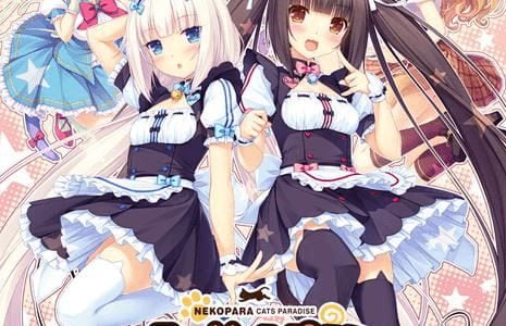 Neko Para Vol.1 Soleil Kaiten Shimashita! Adult Game Cover