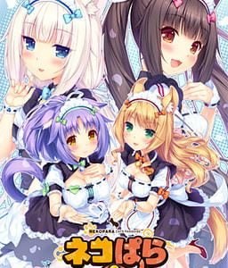 Nekopara vol.3 Adult Game Cover