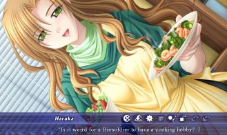 Pretty Soldier Wars A.D. 2048 - Final 18+ Adult game cover