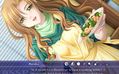 Pretty Soldier Wars A.D. 2048 Adult Game Cover