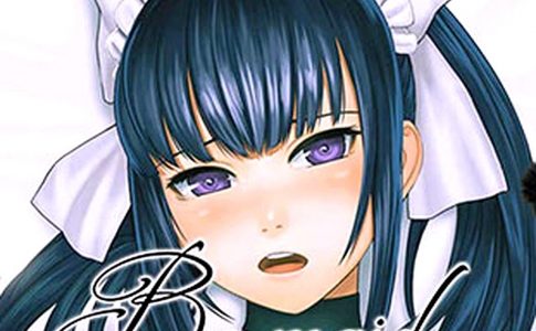 Remaid Adult Game Cover