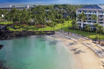 The Breeding Puzzle Adult Game Cover