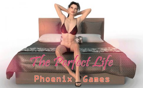 The Perfect Life Adult Game Cover