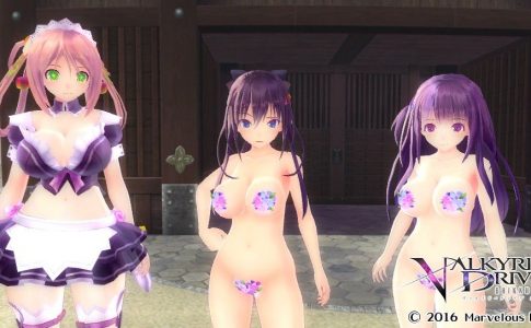 VALKYRIE DRIVE BHIKKHUNI Adult Game Cover