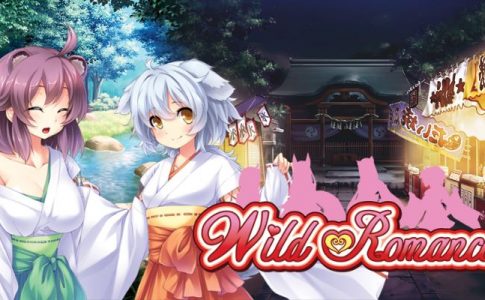 Wild Romance Adult Game Cover