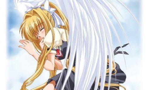 Air Standard Edition Adult Game Cover