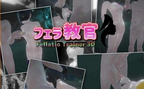 Fella Trainer Adult Game Cover