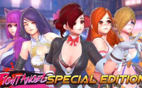 Fight Angel Special Edition Adult Game Cover