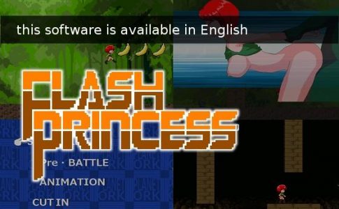 Flash Princess Adult Game Cover