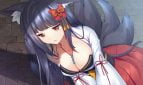 Fox Hime Zero Adult Game Screenshot (6)