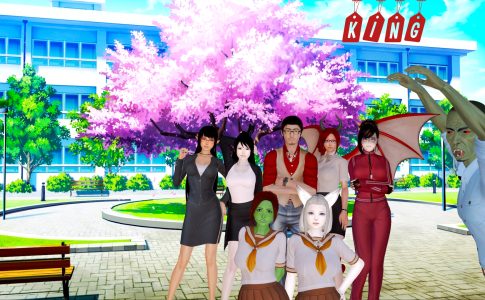 King Adult Game Cover