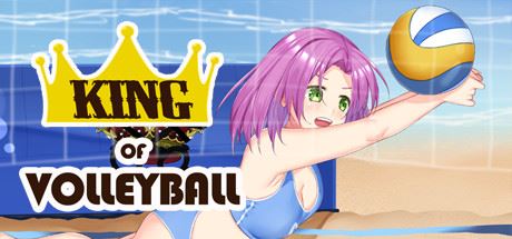 King of Volleyball Adult Game Cover