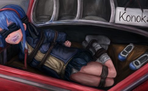 Konoka Adult Game Cover