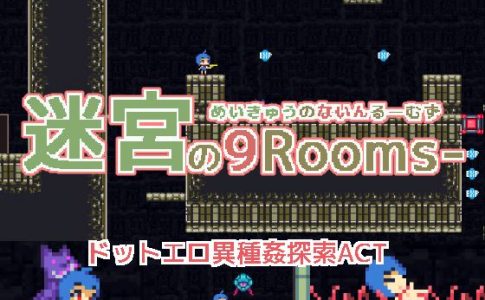Labyrinth of 9 Rooms Adult Game Cover