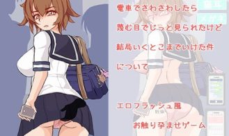 Molester - 2020 18+ Adult game cover