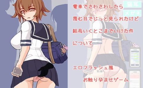 Molester Adult Game Cover