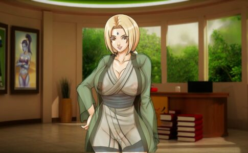 New Dawn Adult Game Cover