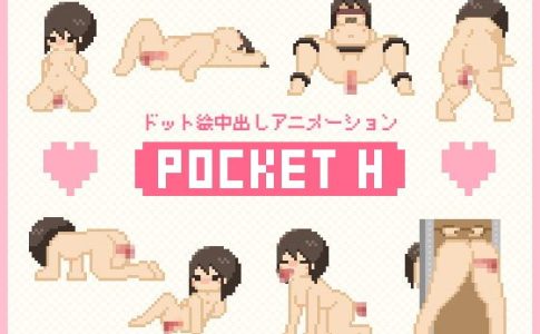 Pocket H Adult Game Cover
