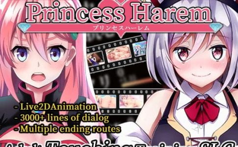 Princess Harem Adult Game Cover