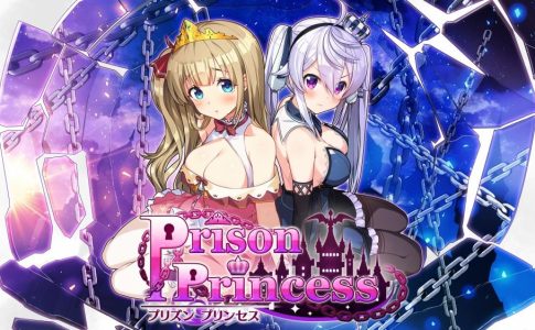 Prison Princess Adult Game Cover