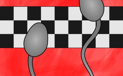 Sperm Race Adult Game Cover